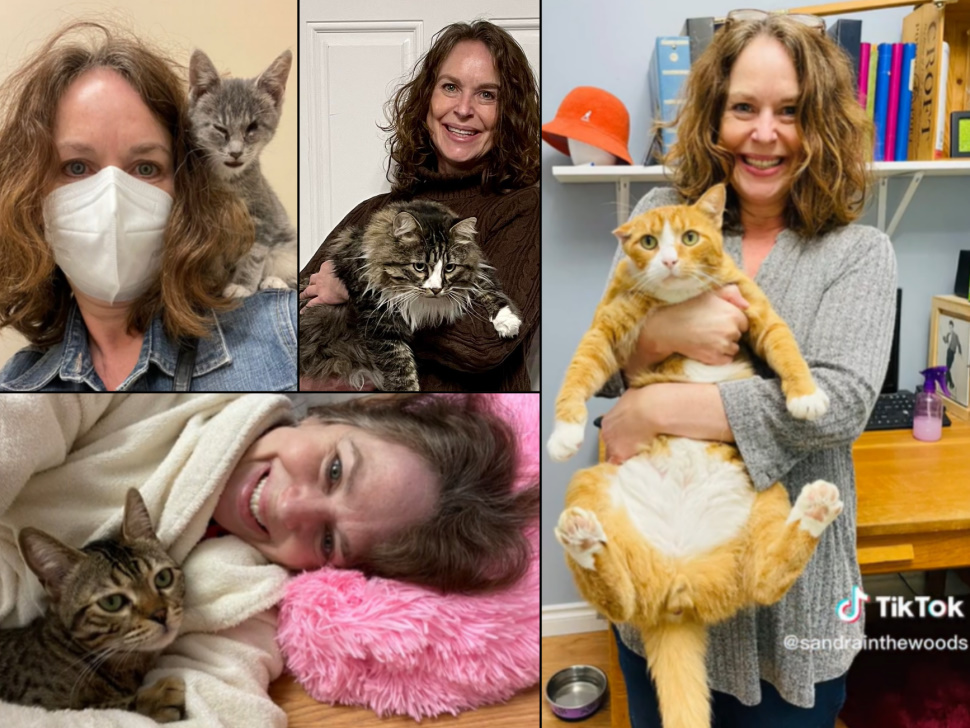 Steinbach woman committed to finding cats forever homes fosters 50